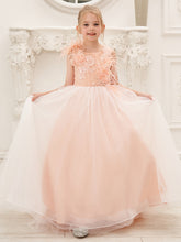 Ball-Gown/Princess Tulle Sweep Train Pink Flower Girl Dress