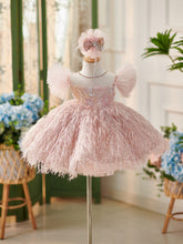 Elegant Pink Butterfly Embellishments Baby Girl Dress