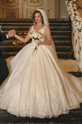 Glamorous Long Ball Gown V-neck Tulle Wedding Dress with Lace Appliques