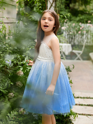 Ball-Gown/Princess Tulle Knee-length Blue Flower Girl Dress