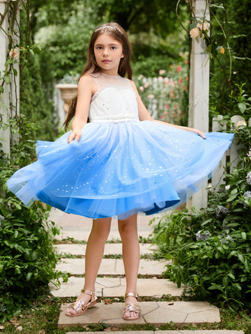 Ball-Gown/Princess Tulle Knee-length Blue Flower Girl Dress