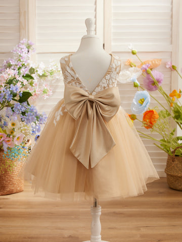 Sleeveless Lace Tulle Knee Length Flower Girl Dress