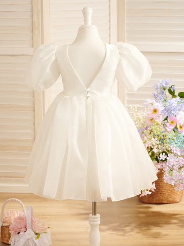 Ball-Gown/Princess Organza Knee-length First Communion Flower Girl Dress