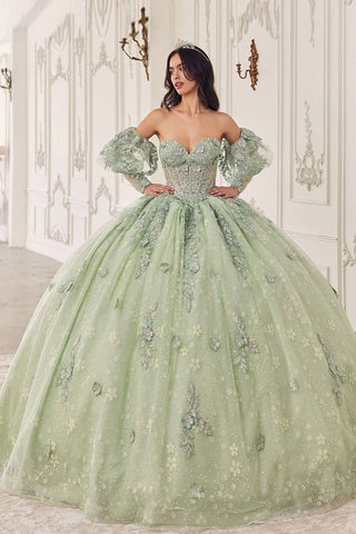 Dusty Sage Ball Gown Sweetheart Long Sleeves Applique Quinceanera Dress