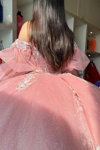 Off the Shoulder Long Sleeves Ball Gown Tulle Applique Quinceanera Dress