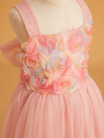 Enchanted Garden Girl Baby Toddler 3D Flower Embellishment Floral Applique Tulle Bow Dress
