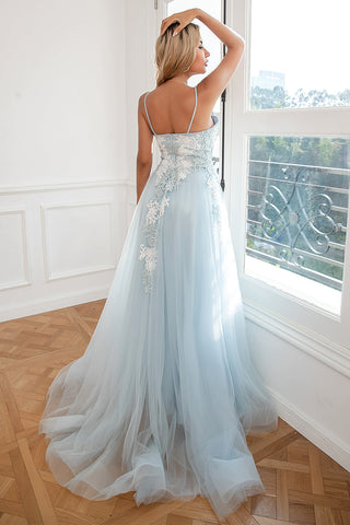 Light Appliques Tulle Prom Dress
