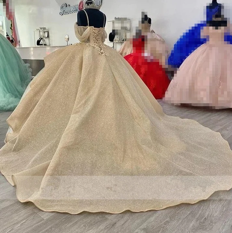 Robe de bal princesse champagne scintillante, robe de quinceañera à bretelles élégantes et appliques, robe de sweet 16 Y4150