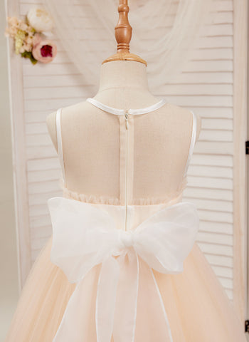 A-line Organza Tulle Floor-length Pink Dress (010226975)