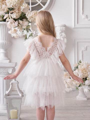 Lace Tulle Short/Mini Dress (2003227815)