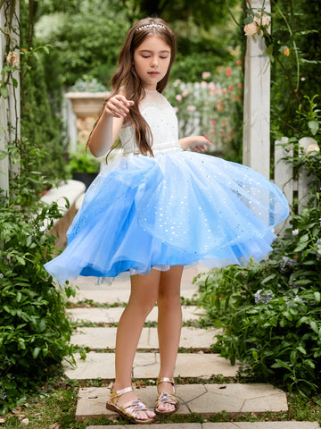 Ball-Gown/Princess Tulle Knee-length Blue Flower Girl Dress