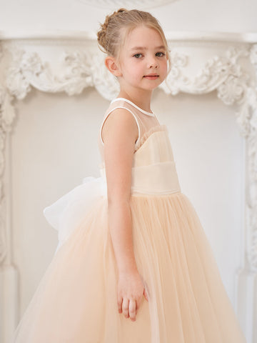 A-line Organza Tulle Floor-length Pink Dress (010226975)