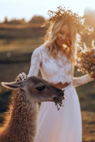 Chiffon Two Pieces Wedding Dresses A-line Long Sleeves Bridal Gown  WD553