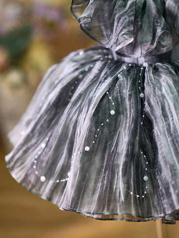 Ball-Gown/Princess 1st Birthday Party Baby Girl Dress