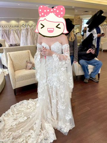 Robe de mariée féerique neuve de haute qualité, brodée de dentelle sirène Y4406