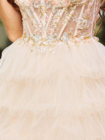 Sheer Bodice Lace Embroidery Layered Ball Gown Prom Dress