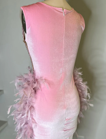 Robe de bal de luxe rose à plumes, robe d'anniversaire, robe de soirée de mariage Y2639