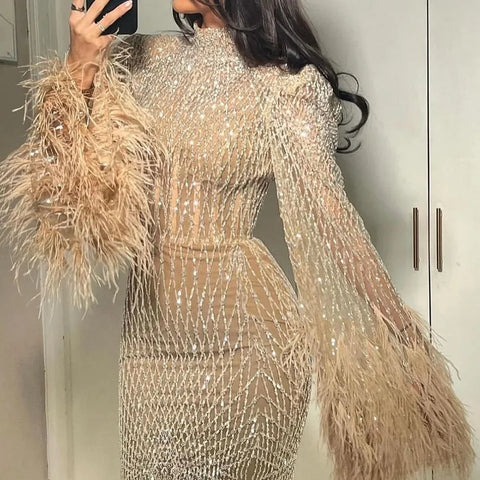 Luxury Dubai Feathers Nude Evening Dresses Long Sleeves LA72394