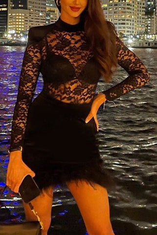 Worth Appreciating Lace Velvet Patchwork Feather Trim Mini Dress