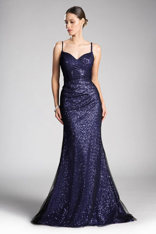 Long Plus Size Sequins Evening Prom Dress
