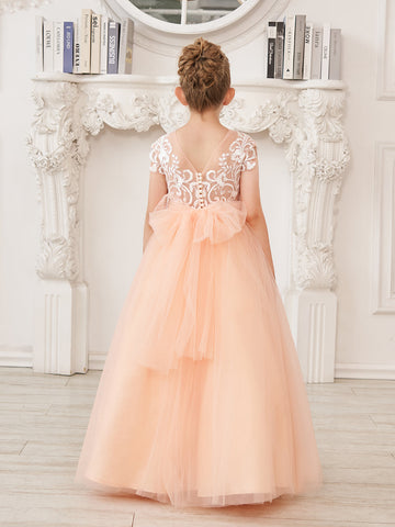 A-line Lace Tulle Sweep Train Pink Flower Girl Dress