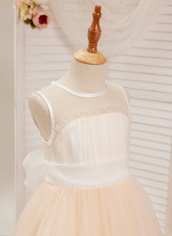 A-line Organza Tulle Floor-length Pink Dress (010226975)