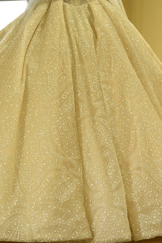 Elegant Long Sleeve Sweetheart Lace-up Ivory Tulle Ball Gown Wedding Dress