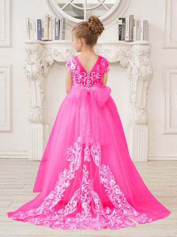 A-line Lace Tulle Sweep Train Pink Flower Girl Dress
