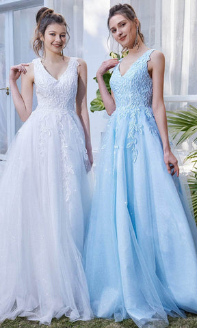 Sleeveless V-Neck A-line Long Dress