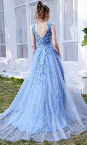 Sleeveless V-Neck A-line Long Dress