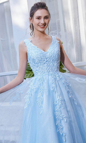 Sleeveless V-Neck A-line Long Dress