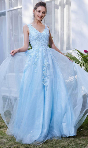 Sleeveless V-Neck A-line Long Dress