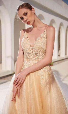 Robe trapèze en tulle pailleté et corsage orné d'appliqués de dentelle