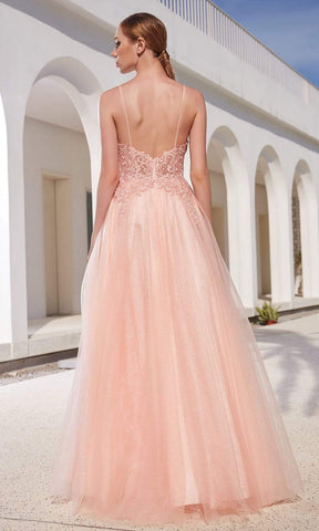 Robe trapèze en tulle pailleté et corsage orné d'appliqués de dentelle