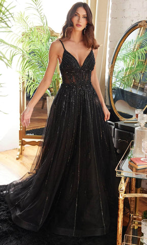 Applique A-Line Long Prom Dress