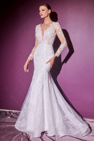 Long Mermaid Fit Wedding Gown