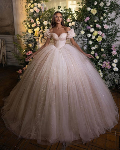 Princess Luxury Wedding Dresses Glitter with Lace