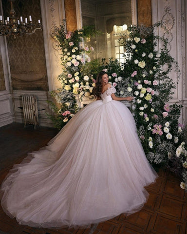 Princess Luxury Wedding Dresses Glitter with Lace
