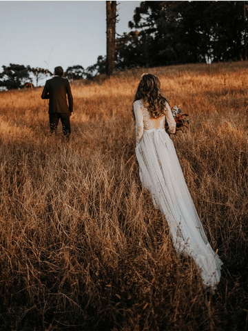 V-Neck Polka Dot Lace Open Back Long Sleeve  Boho Bridal Gown WD433